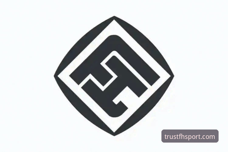 FH体育账号注册全面评测：资深用户手把手教你完成注册
